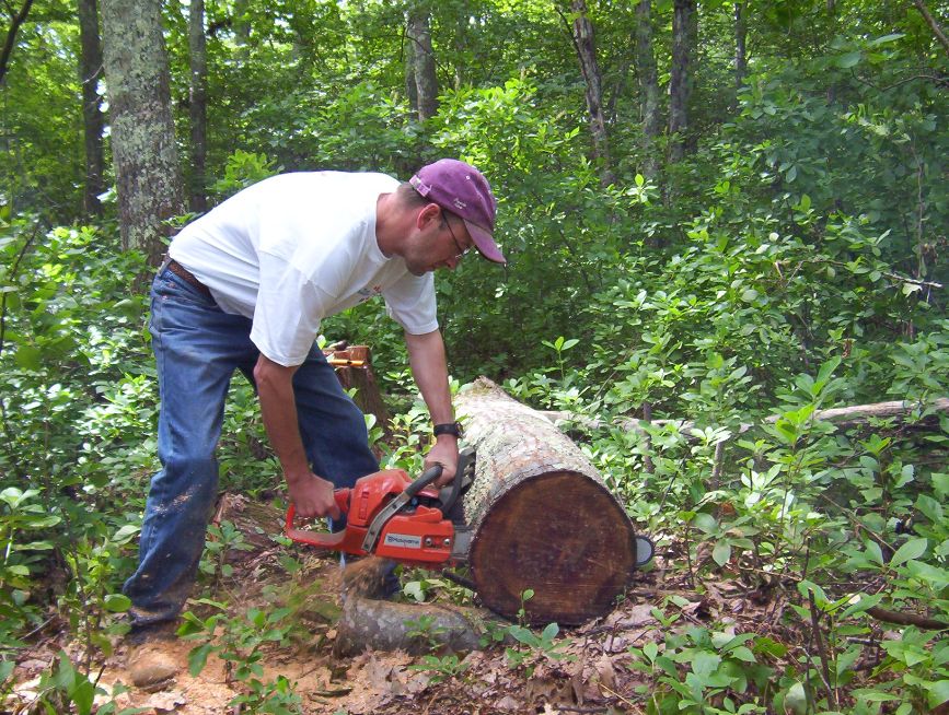 Cutting the log