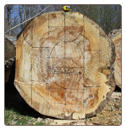 Layout with a black sharpie Layout with a black sharpie