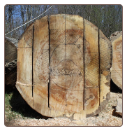 Keep your cut as straight and true to the line as possible. Keep your cut as straight and true to the line as possible.